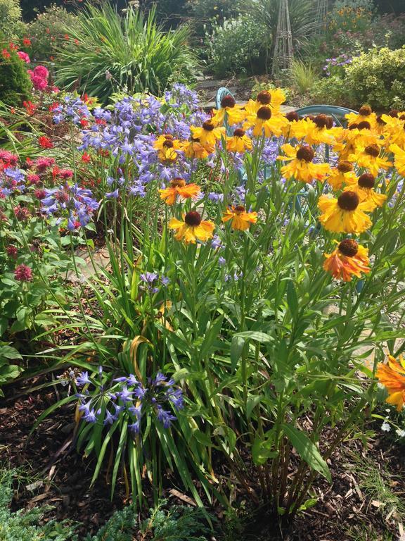 At Ballinsheen House & Gardens Apartment